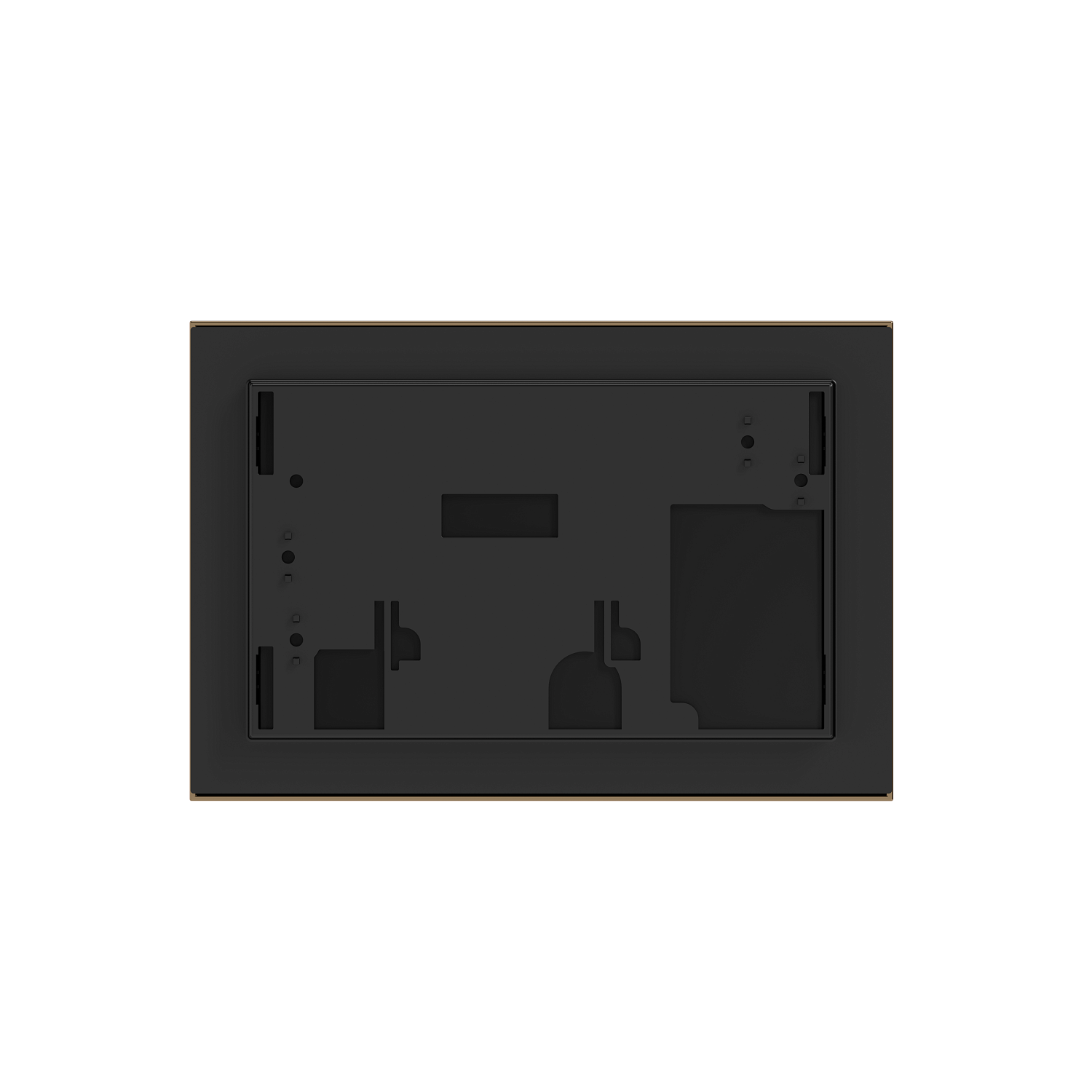 Панель смыва RIVO Touch neo Латунь матовая (matte BRASS)