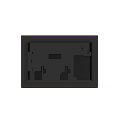 Панель смыва RIVO Touch neo Латунь матовая (matte BRASS)