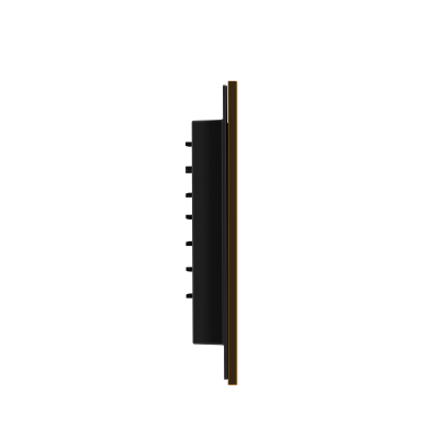 Панель смыва RIVO Touch line Латунь матовая (matte BRASS)