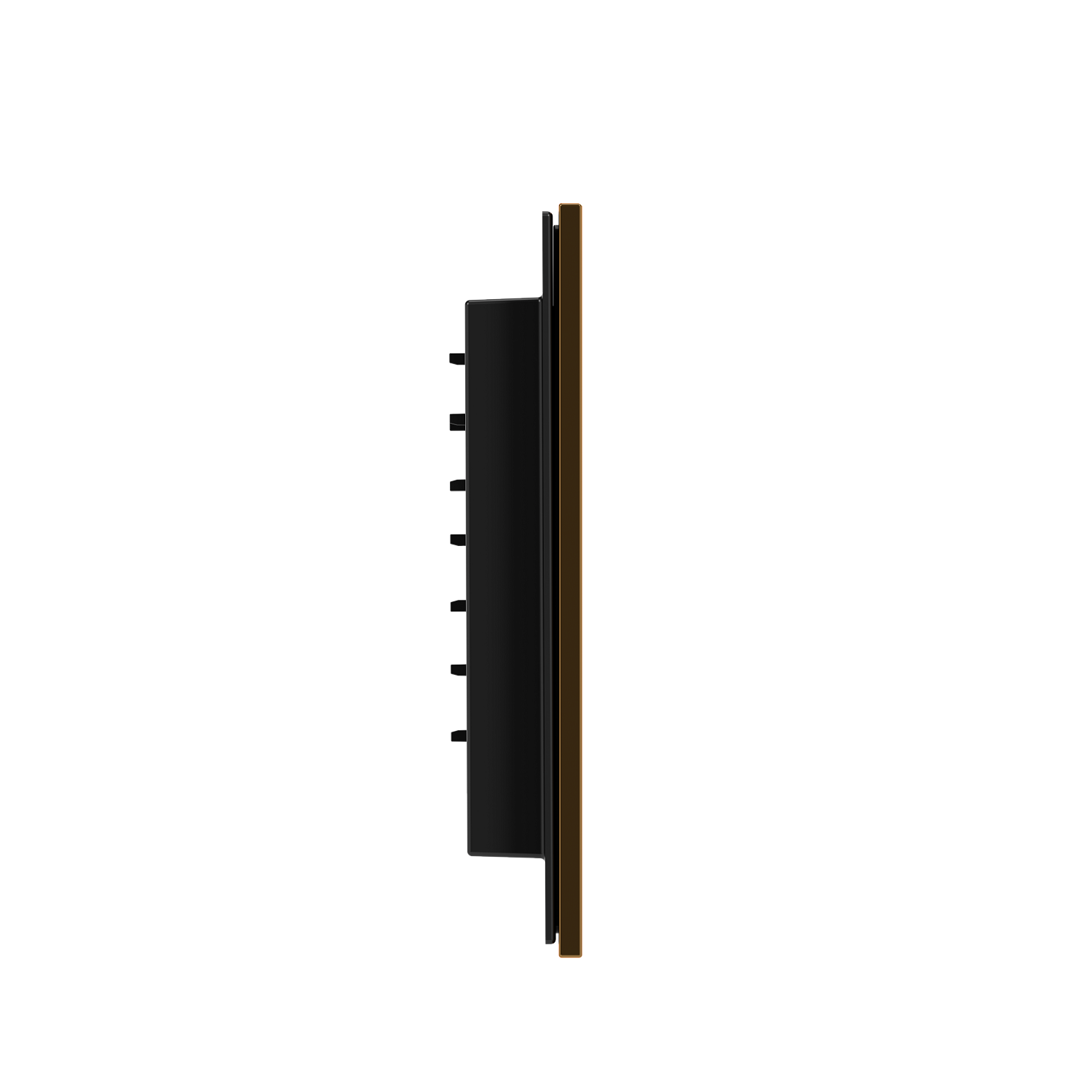 Панель смыва RIVO Touch neo Латунь матовая (matte BRASS)