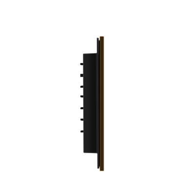 Панель смыва RIVO Touch neo Латунь матовая (matte BRASS)
