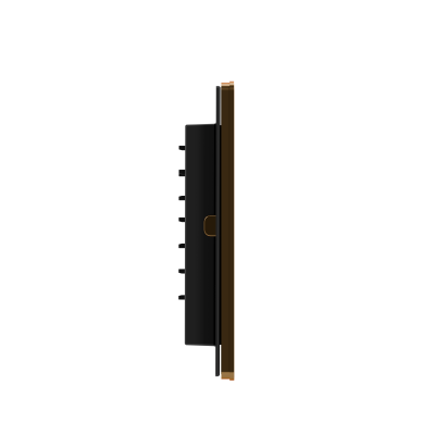 Панель смыва RIVO Touch lux Латунь матовая (BRASS)